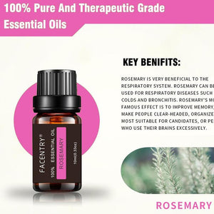 100% Pure Natural Aromatherapy Oils Kit 10ml For Humidifier Water-soluble Fragrance Oil Massage Essential Oil Set Free Shiping